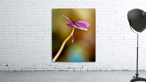 Nature 024 Wall Preview