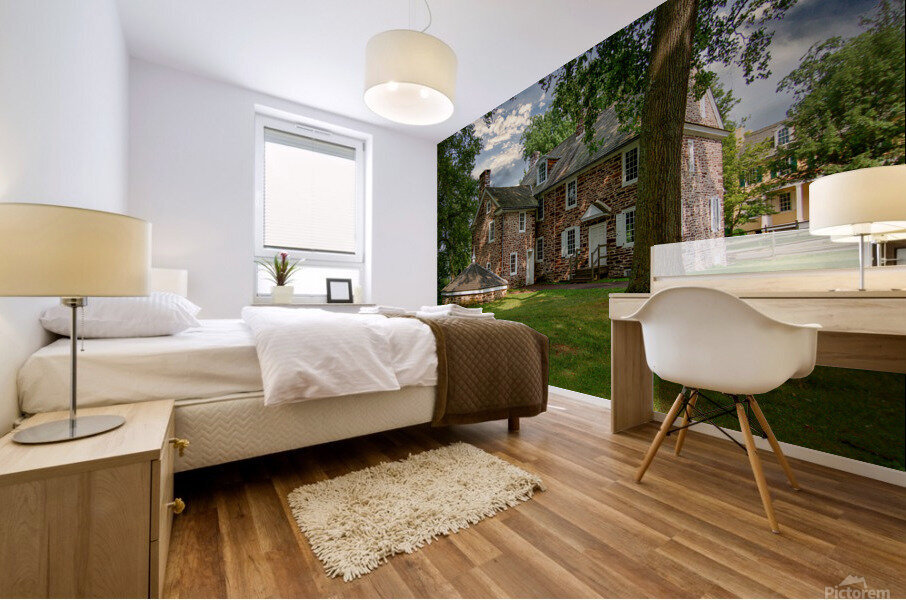 Colonial House Mural print