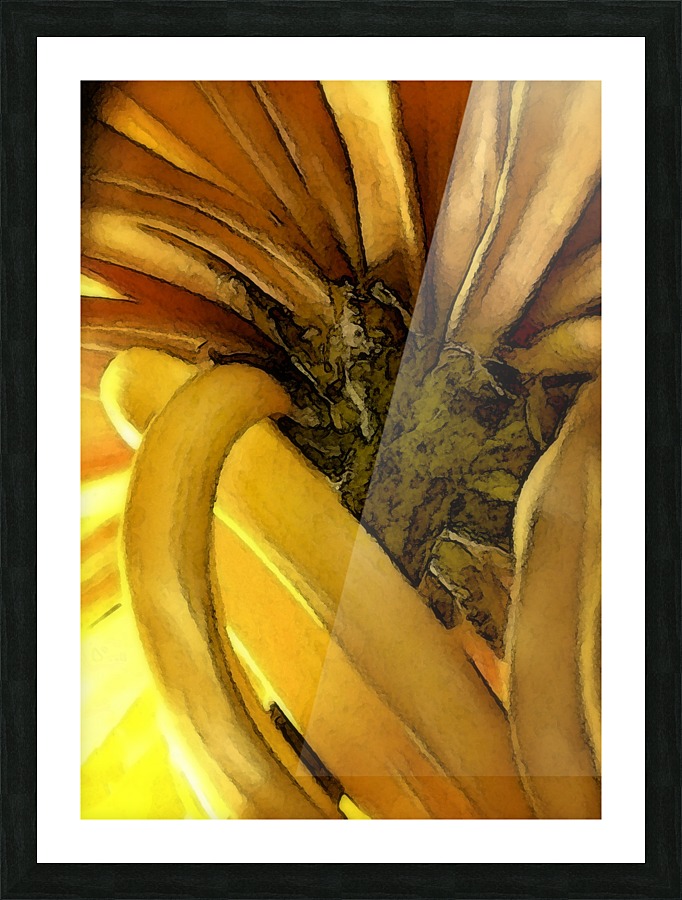 Painted Chrysanthemum Picture Frame print