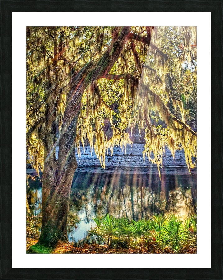 Suwannee River Picture Frame print