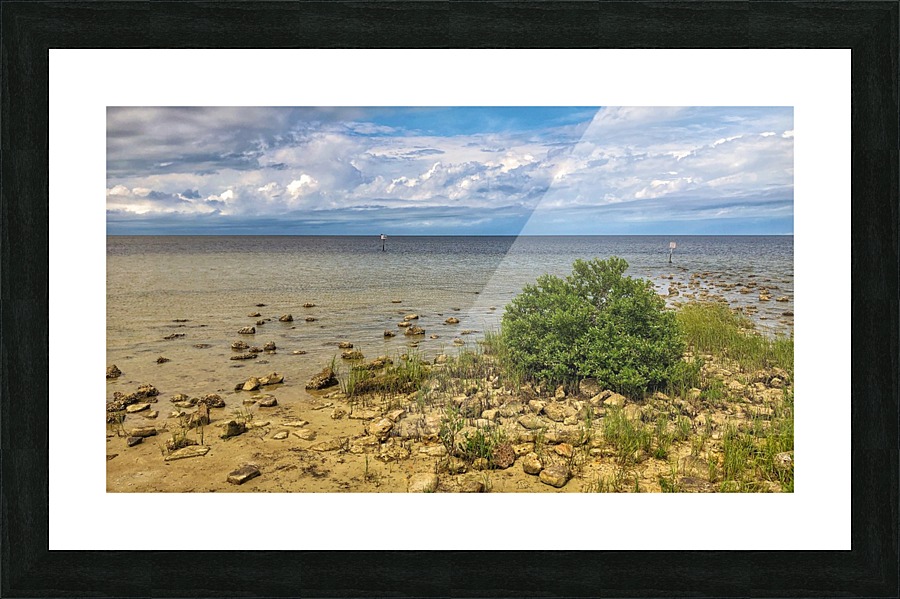 Pine Island Picture Frame print
