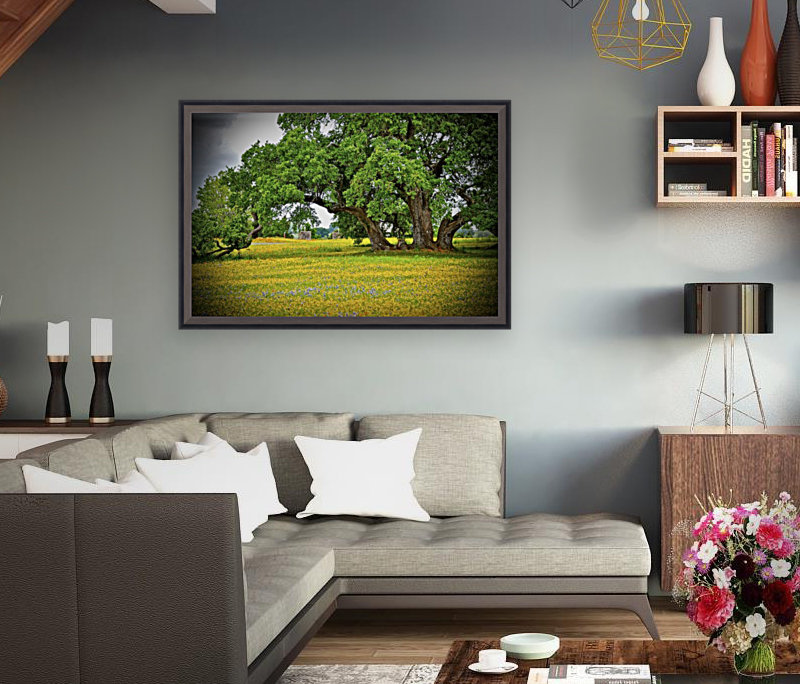 Old Baylor Oak Reproduction