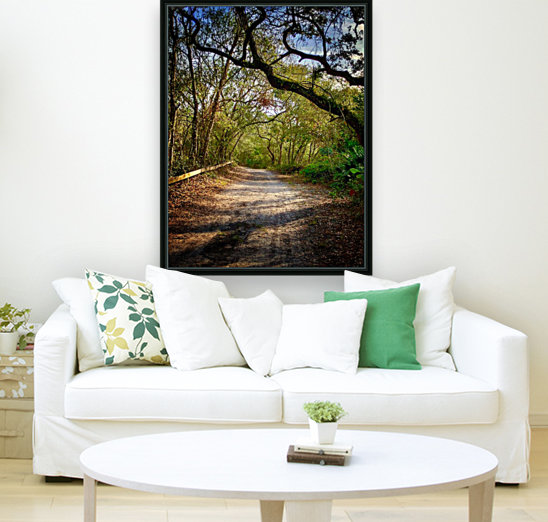 Tree covered Dirt Road Reproduction