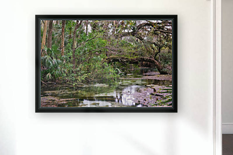 Rainbow Springs by Pamela Winter