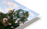 Blue Run Park HD Metal print