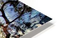 Tree covered Dirt Road HD Metal print