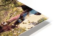 Indian Lake Tree HD Metal print