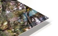 Rainbow Springs HD Metal print