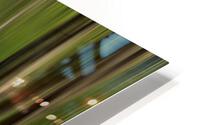 Abstract Forest HD Metal print