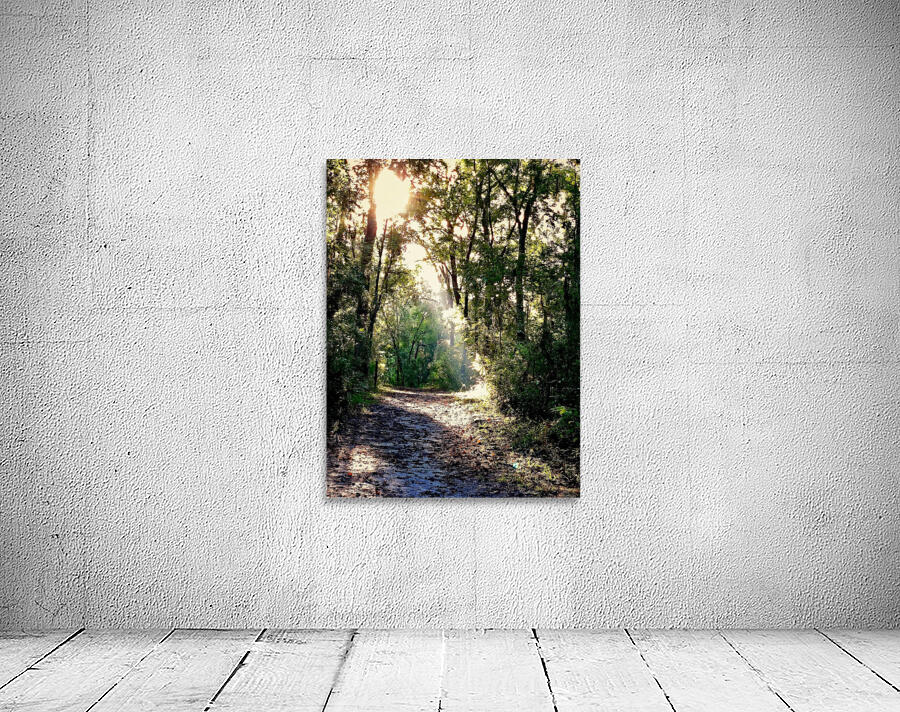 Lighted Pathway Wall Preview