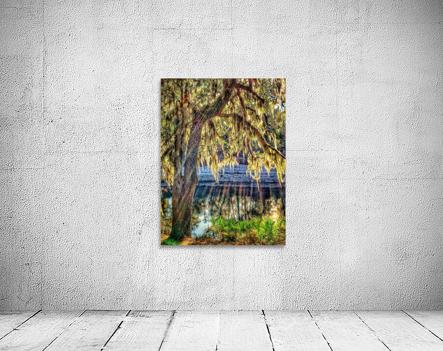 Suwannee River Wall Preview