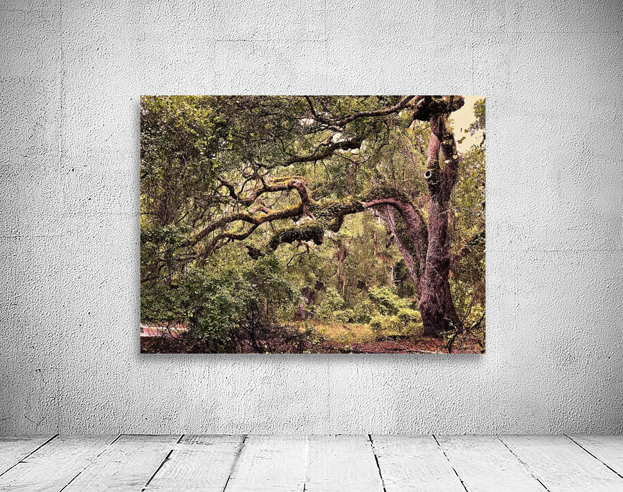 Indian Lake Tree Wall Preview