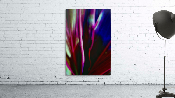 Abstract Composition Wall Preview