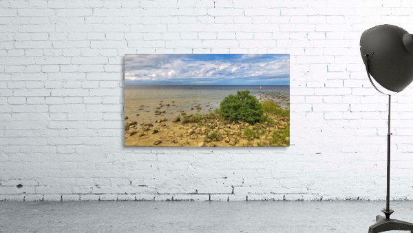 Pine Island Wall Preview