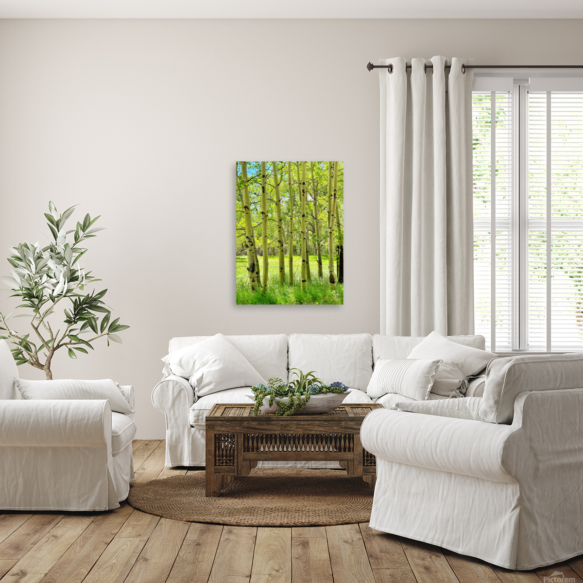 Aspens in Spring Reproduction