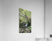 Water pool  Acrylic Print