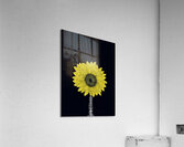 pneuma Iris Acrylic Print