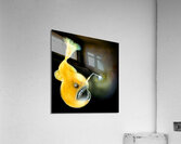 Oscar Acrylic Print