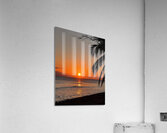 tropical sunset  Acrylic Print