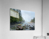 driftwood Acrylic Print