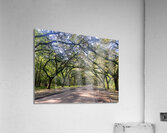 dirt road Acrylic Print