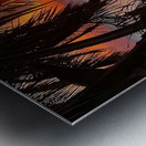 tropical sunset  Metal print