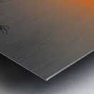 tropical sunset  Metal print