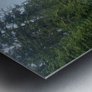 driftwood Metal print