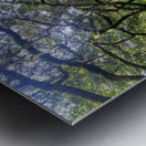 dirt road Metal print