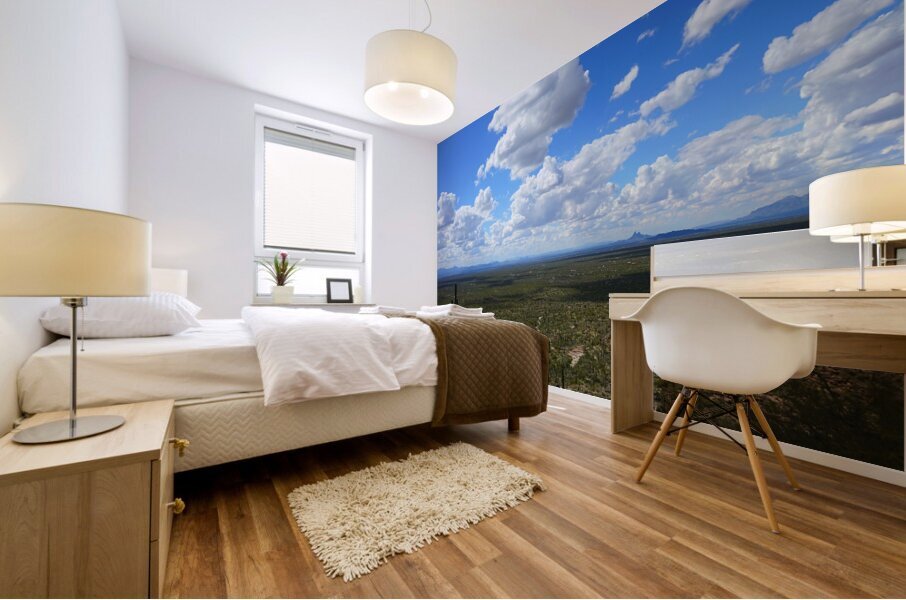 Sonoran desert scape Mural print