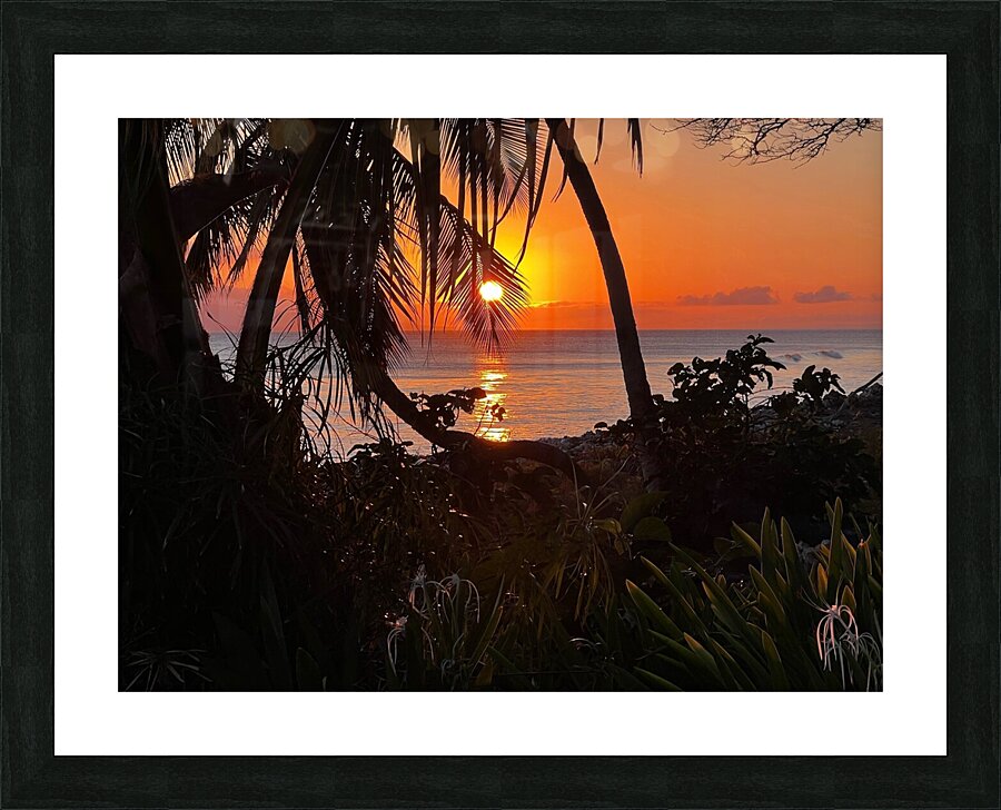 tropical sunset  Picture Frame print
