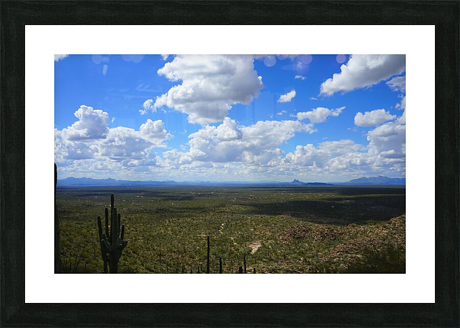 Sonoran desert scape Picture Frame print