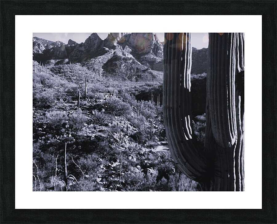 44961 Picture Frame print