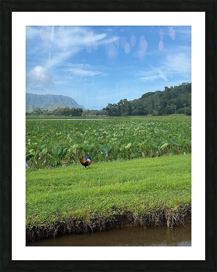 44852 Picture Frame print