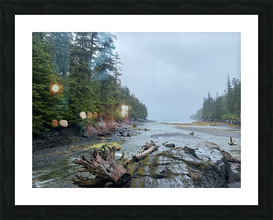 driftwood Picture Frame print