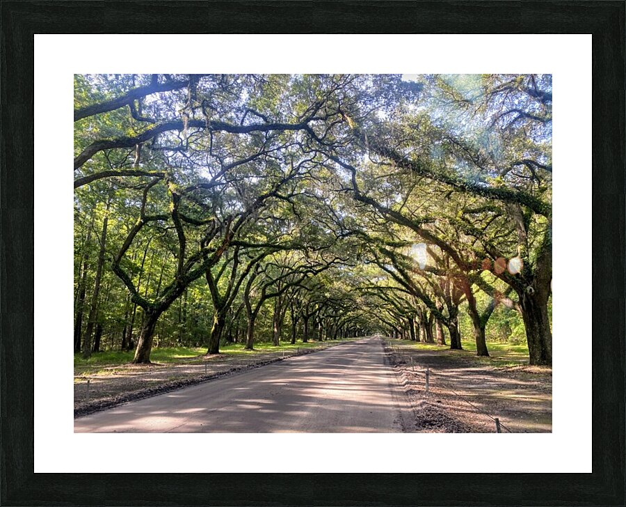 dirt road Picture Frame print