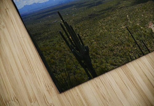 Sonoran desert scape Ideal ideation lc puzzle