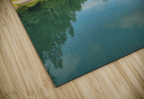 Forward  Ideal ideation lc puzzle