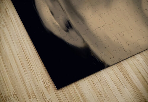  transformed Ideal ideation lc puzzle