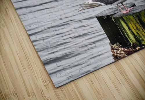 seagull  Ideal ideation lc puzzle