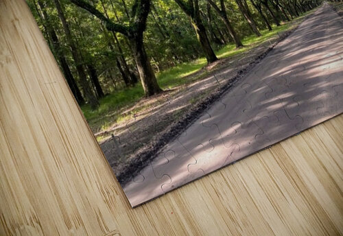 dirt road Ideal ideation lc puzzle