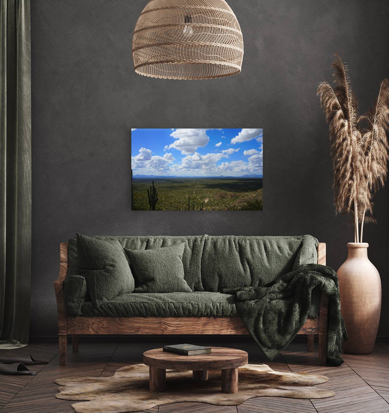 Sonoran desert scape Reproduction