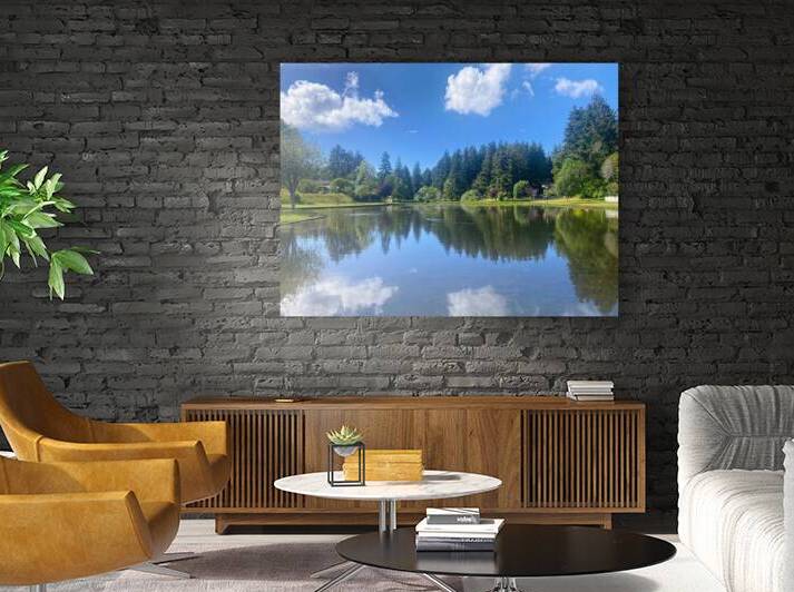 lake reflection  Reproduction