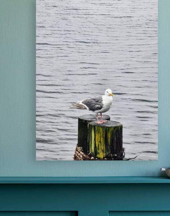 seagull  by Ideal ideation lc
