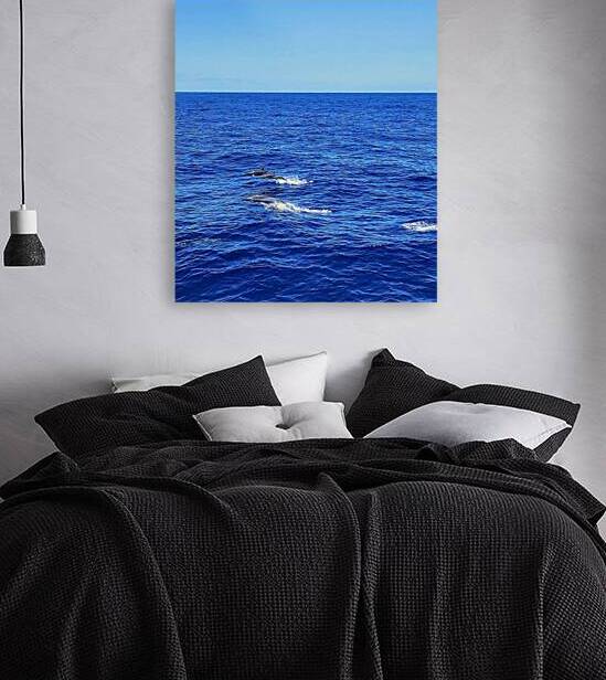 Kealakehe channel spinner dolphins  by Ideal ideation lc