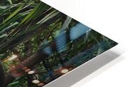  11 HD Metal print