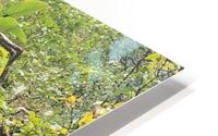 Water pool  HD Metal print