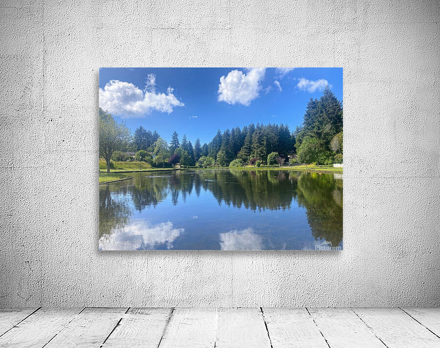 lake reflection  Wall Preview