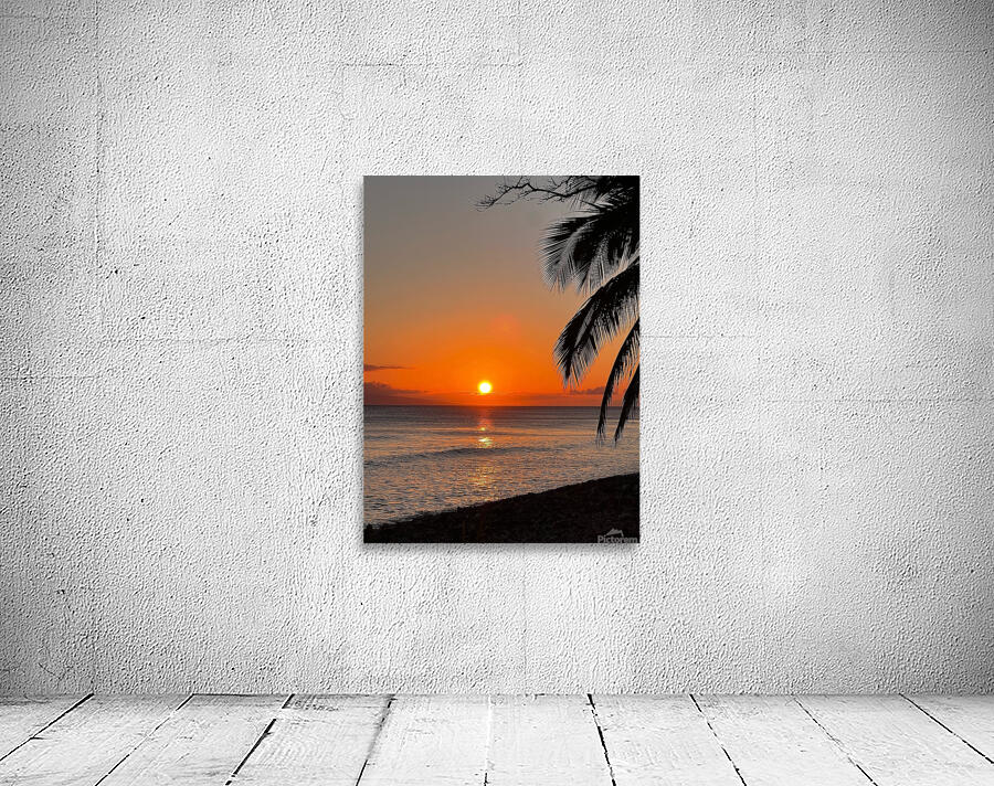 tropical sunset  Wall Preview