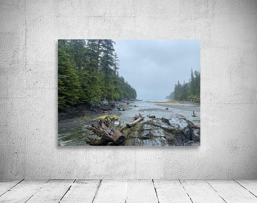 driftwood Wall Preview